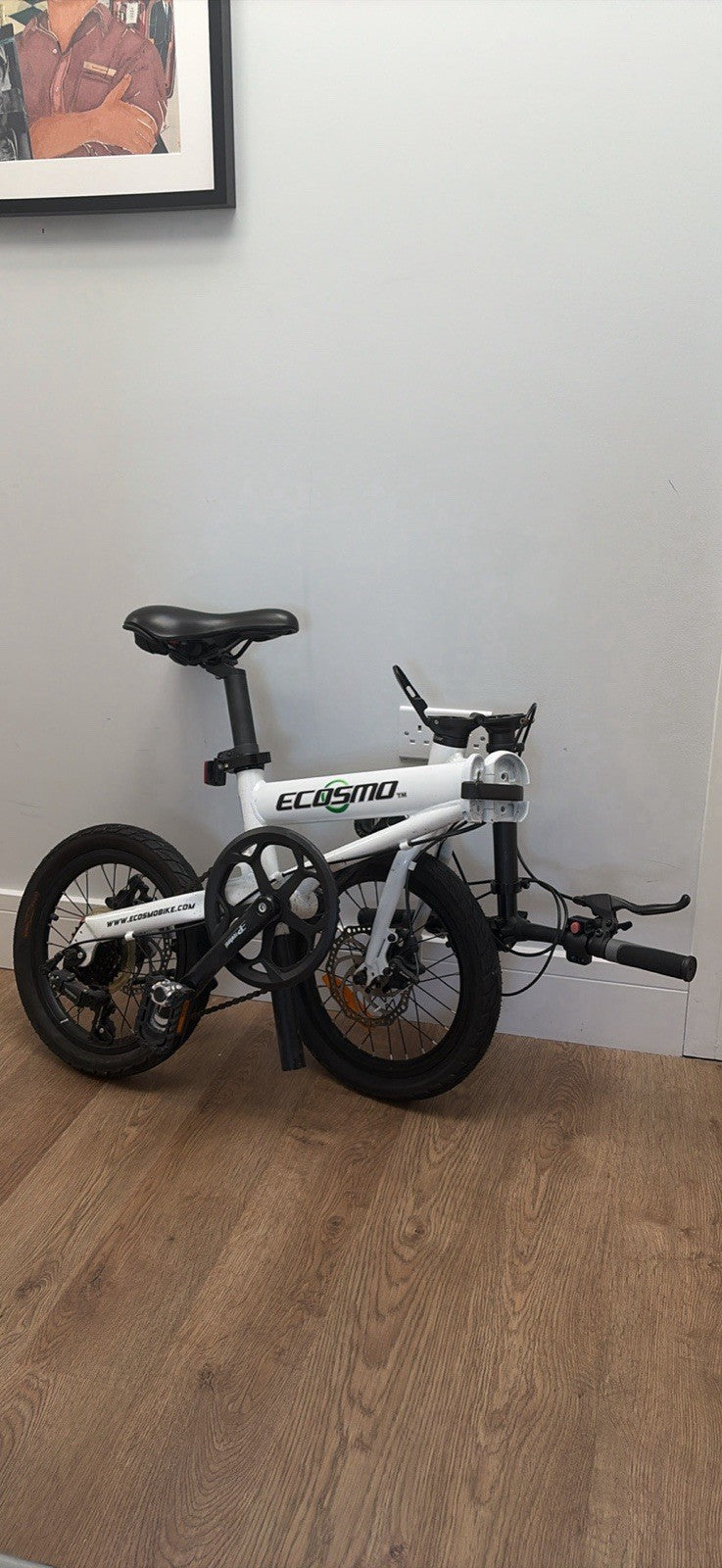 Ecosmo 20" Wheel Lightweight Folding City Bicycle Bike 7 SPSHIMANO - 20F02W