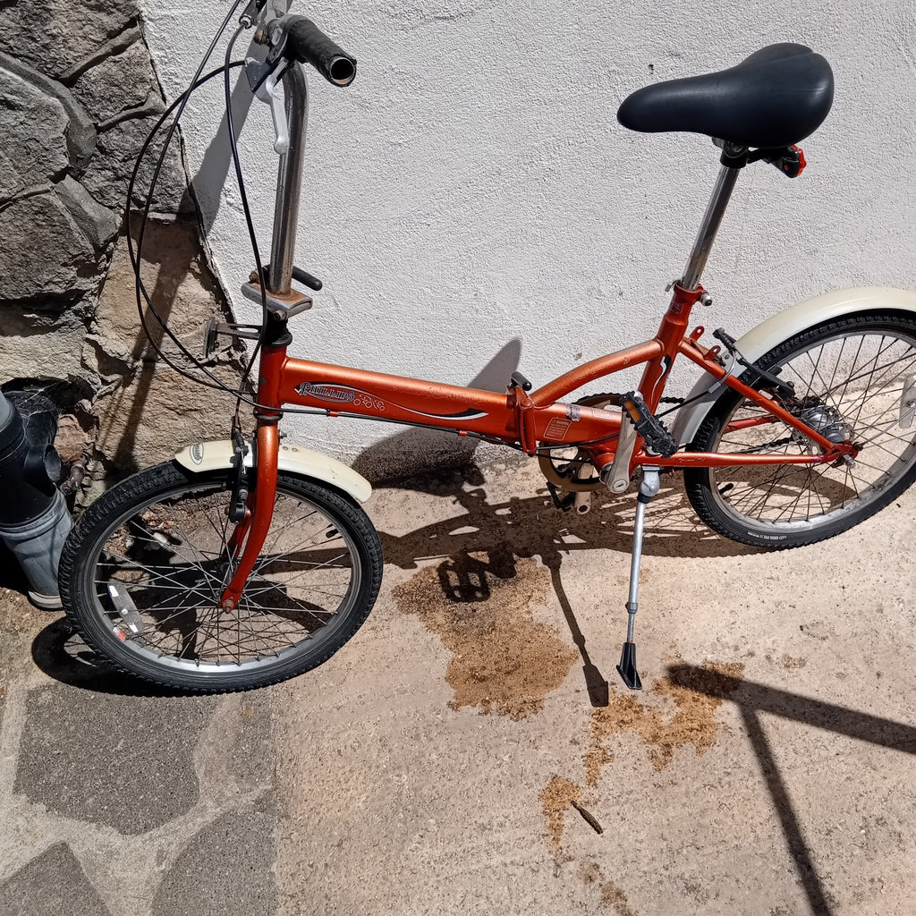 Philips Adult Fold Up Bike Folding Bicycle