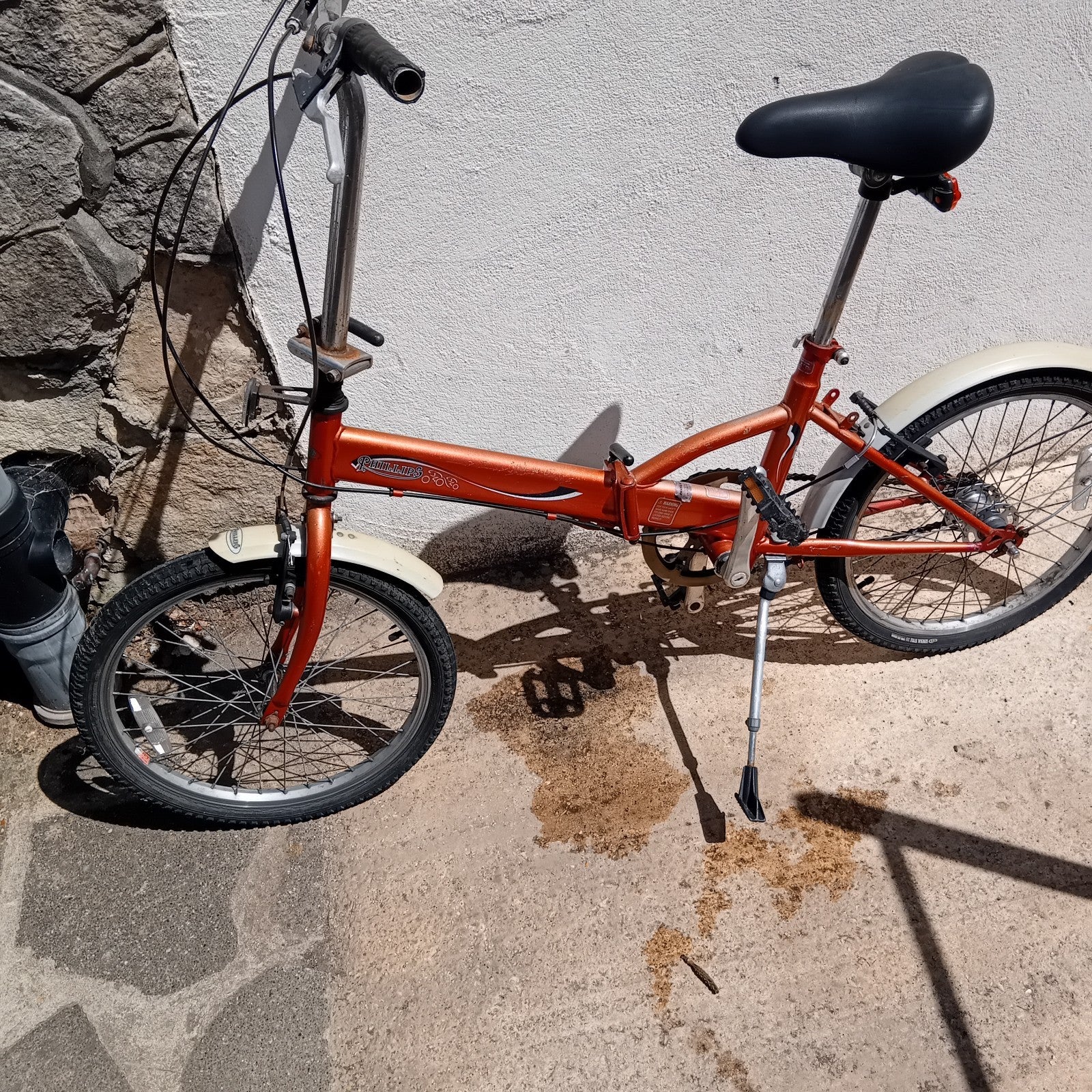 Philips Adult Fold Up Bike Folding Bicycle