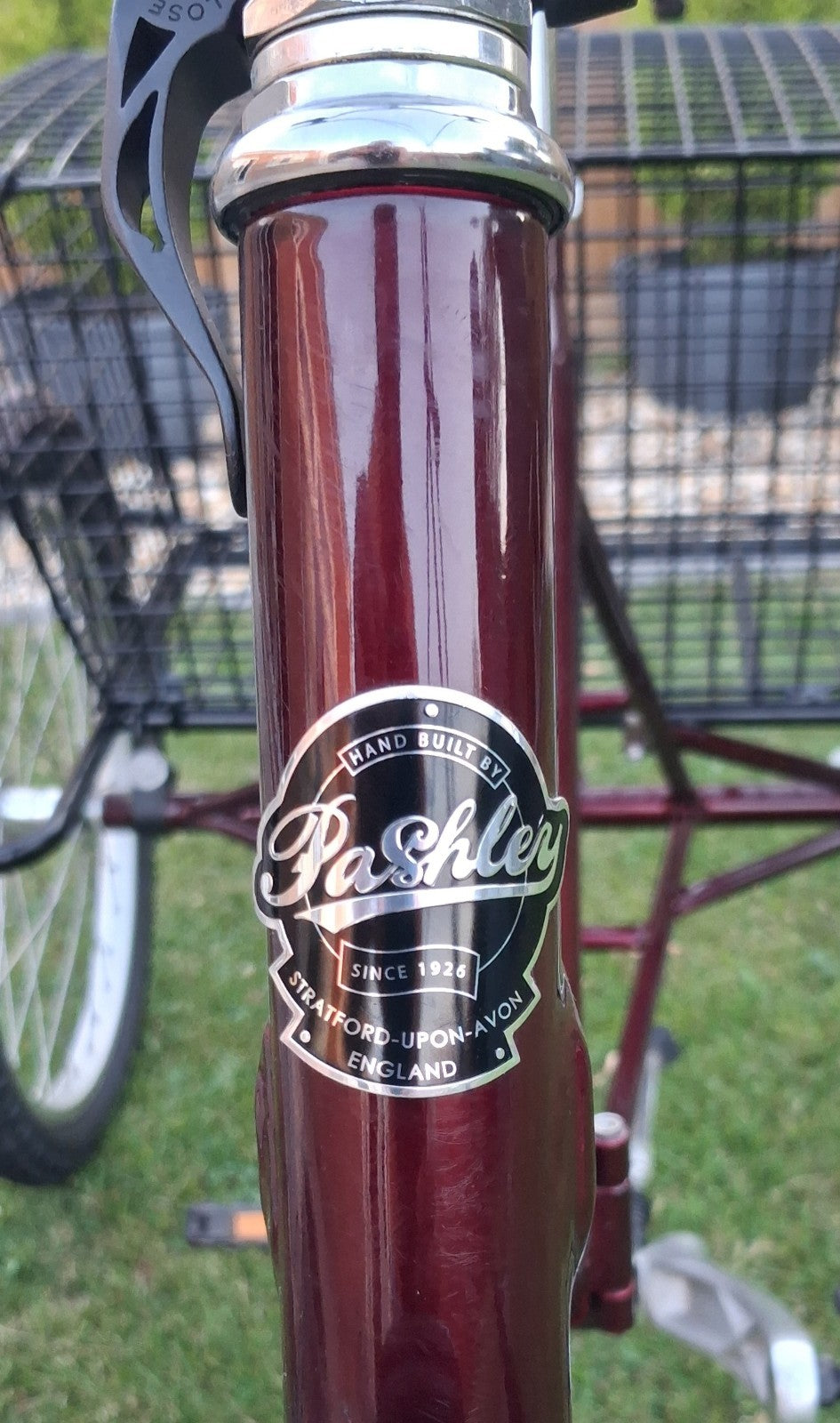 PASHLEY - Tri-1 Folding Adult Trike Burgundy Red
