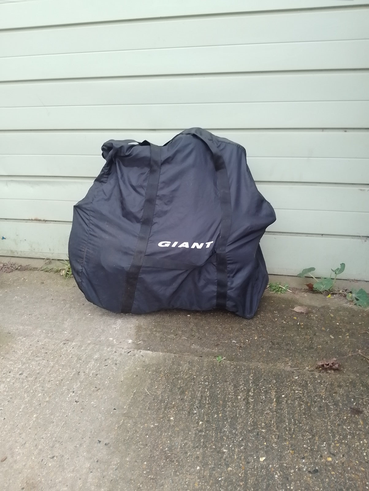 Giant Halfway folding bike