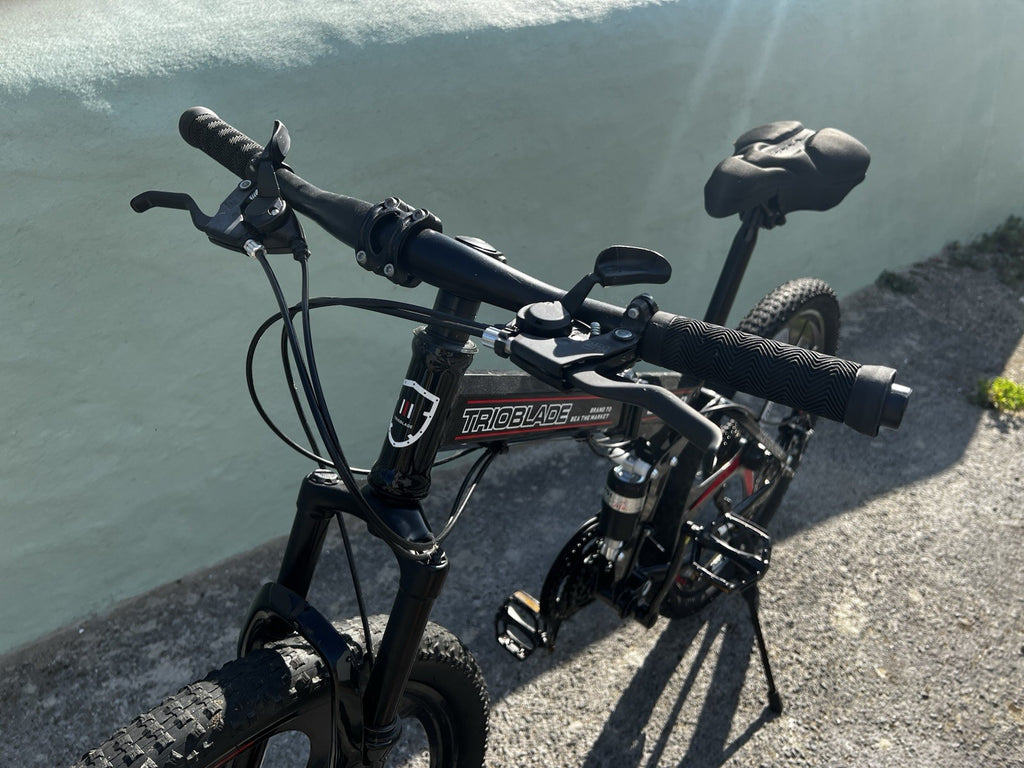 TRIOBLADE 650 B 26 Inch Folding Mountain Bike 21-Speed Foldable Mountain Bicycle