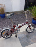 Folding Bike