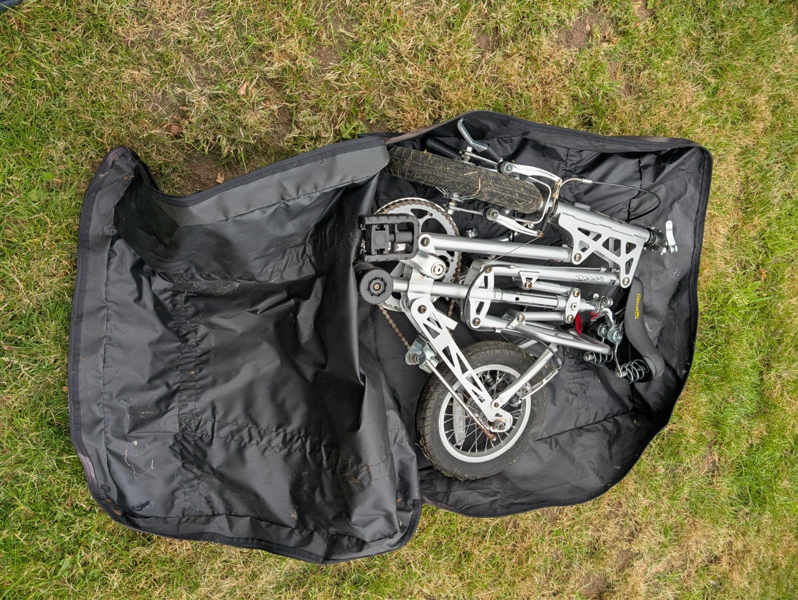 Gecko folding bike