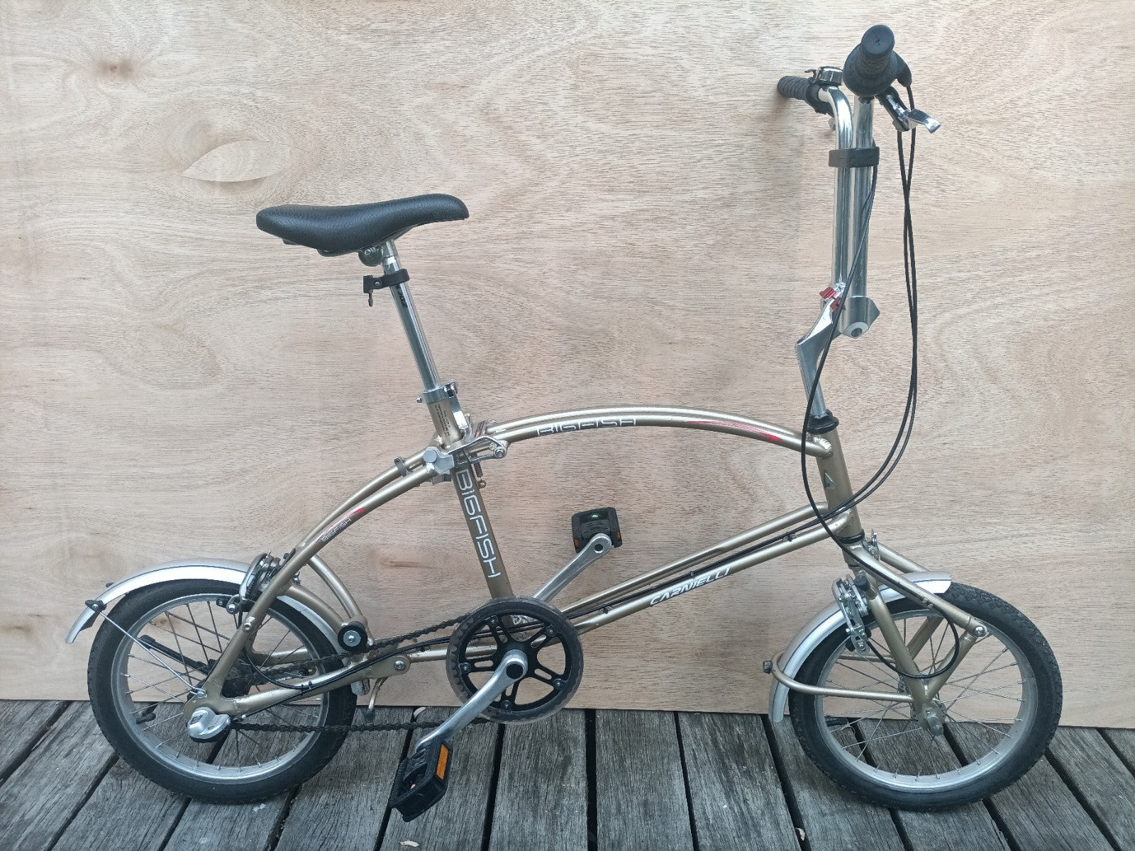 Computer Bike Carnielli Bigfish folding bike