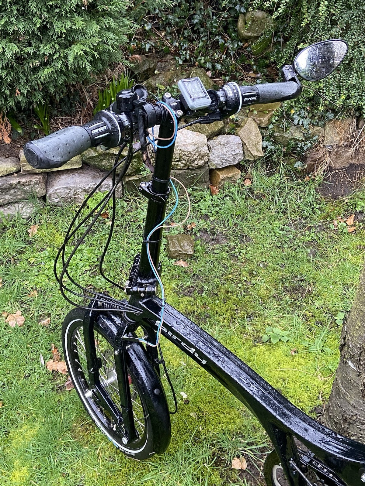 Riese and Müller Birdy Folding Bike