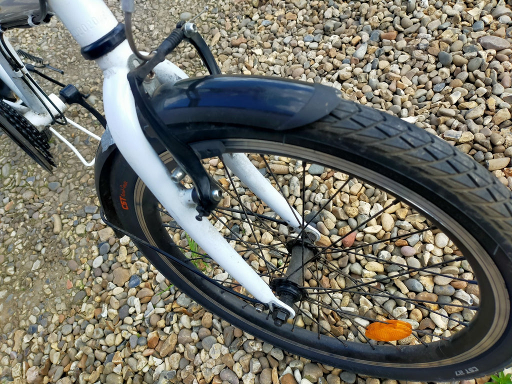 Ecosmo Folding Bike 20-inch Wheels
