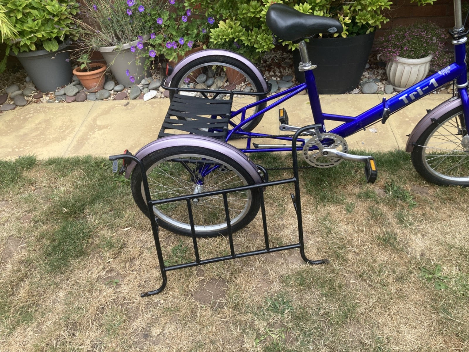 PASHLEY - Tri-1 Folding Adult Trike Blue