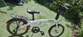 ECosmo Foldable High Speed Bike