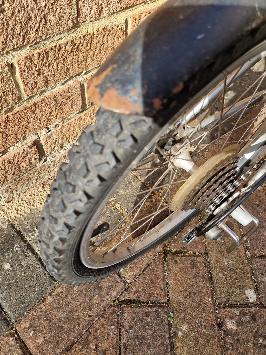 BULL DOG Touring 20in Silver Folding Bike 6-Speed Shimano RevoShift Steel