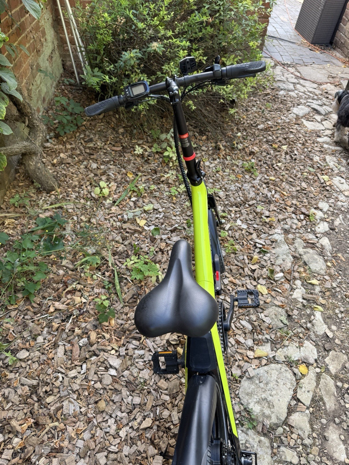Falcon Flo Folding Bike In Green and Black Barely Used