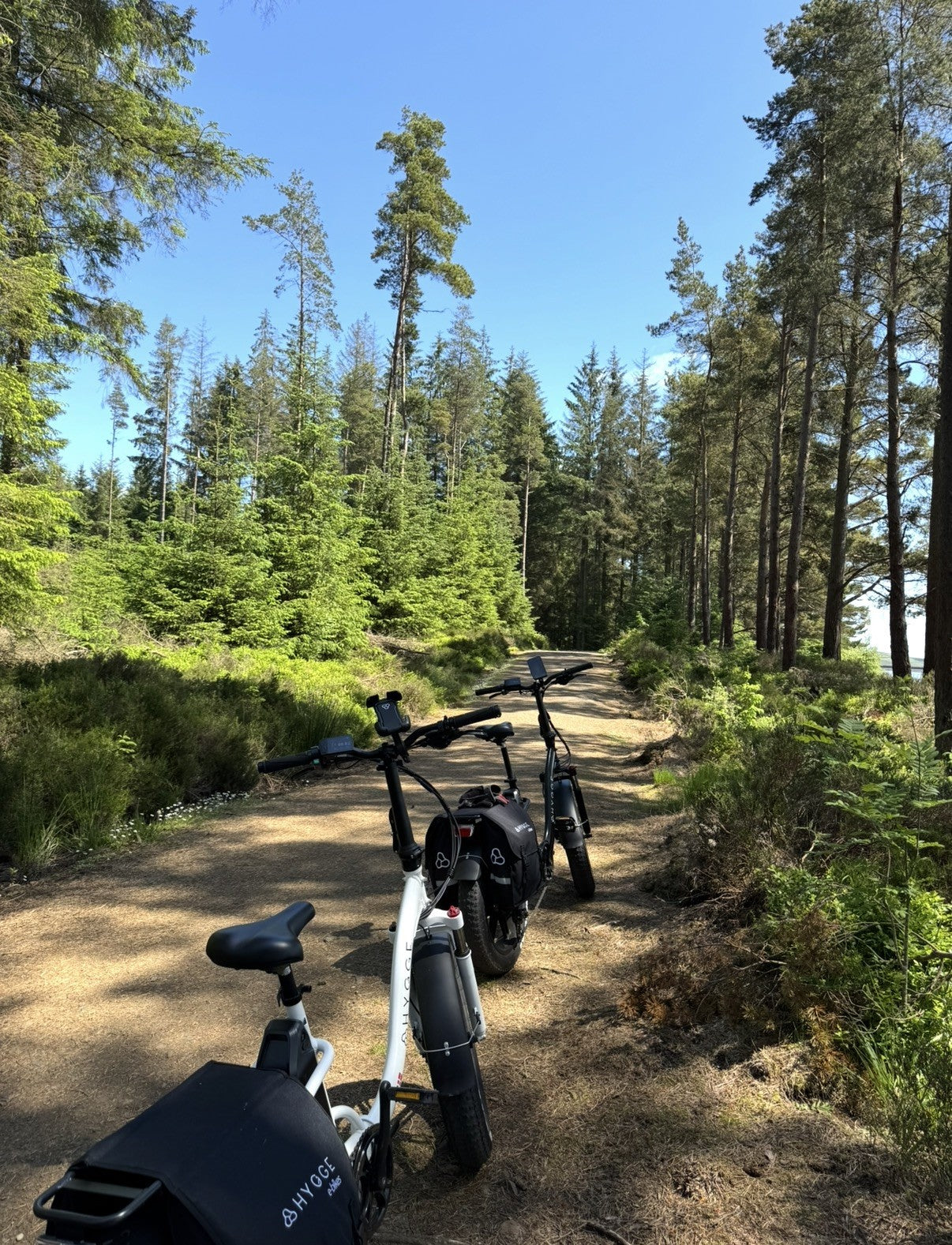 Pair of Hygge Vester Folding Electric Bikes 2025 Model. Delivery Possible.