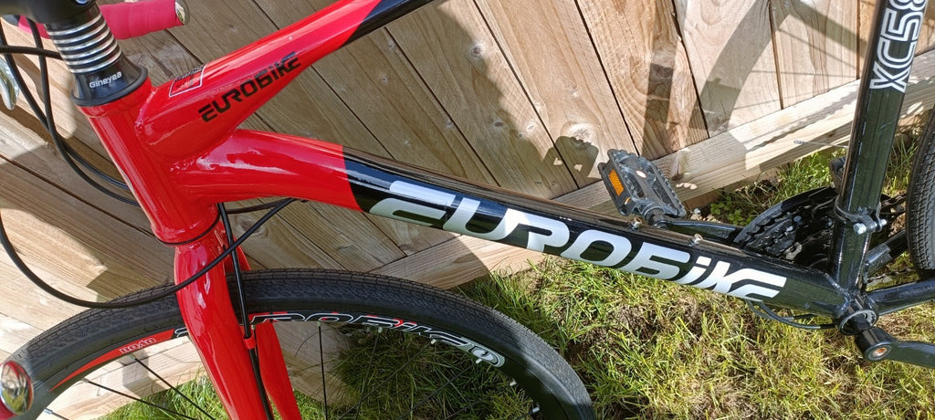 EuroBike XC580 Gravel Bike, with indoor resistance trainer kit