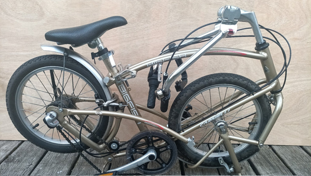 Computer Bike Carnielli Bigfish folding bike