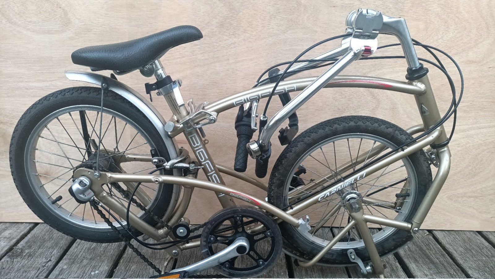 Computer Bike Carnielli Bigfish folding bike