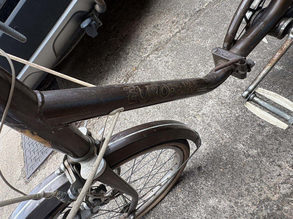 Foldable Bicycle Vintage eurobike folding
