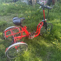 Di Blasi R34 Adult Folding Tricycle