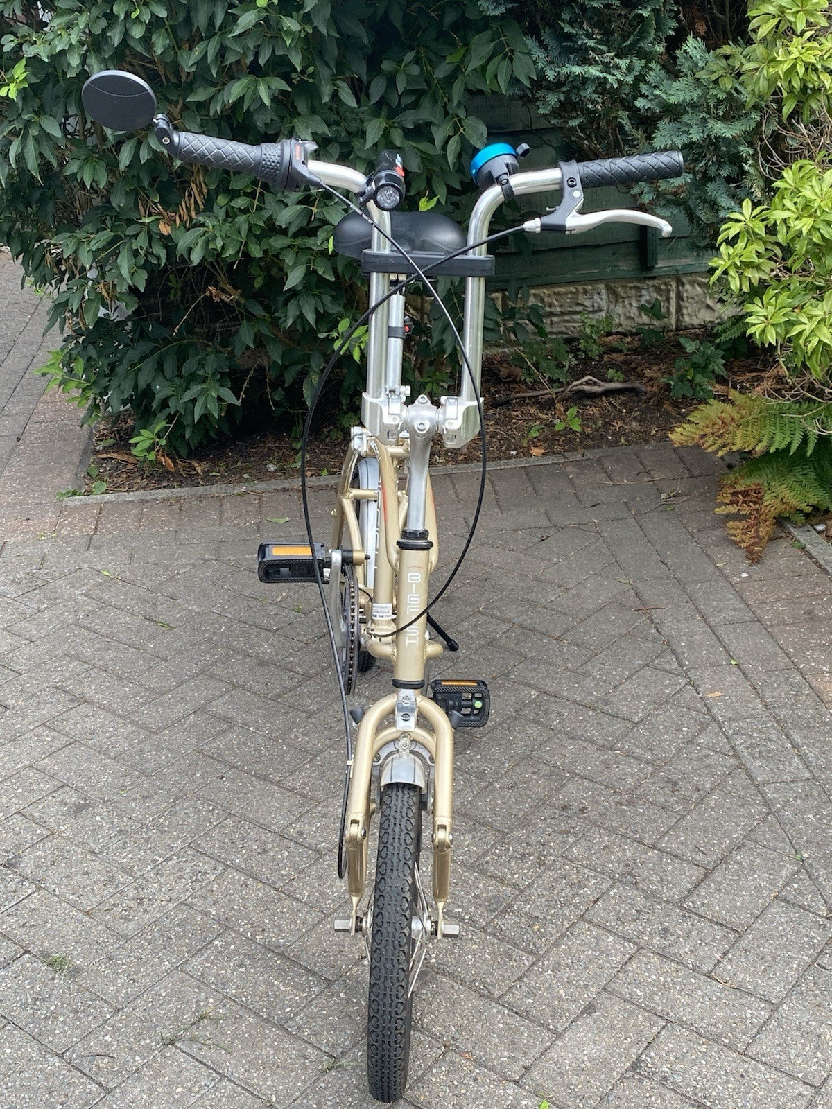 Bigfish Carnelli folding bike
