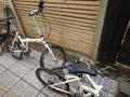 Python Folding Bike