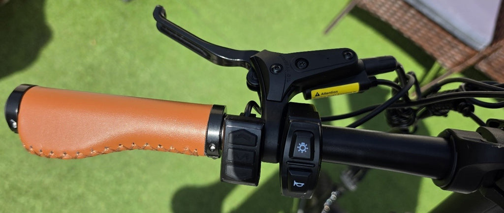 PVY Z20 Max Folding Bike