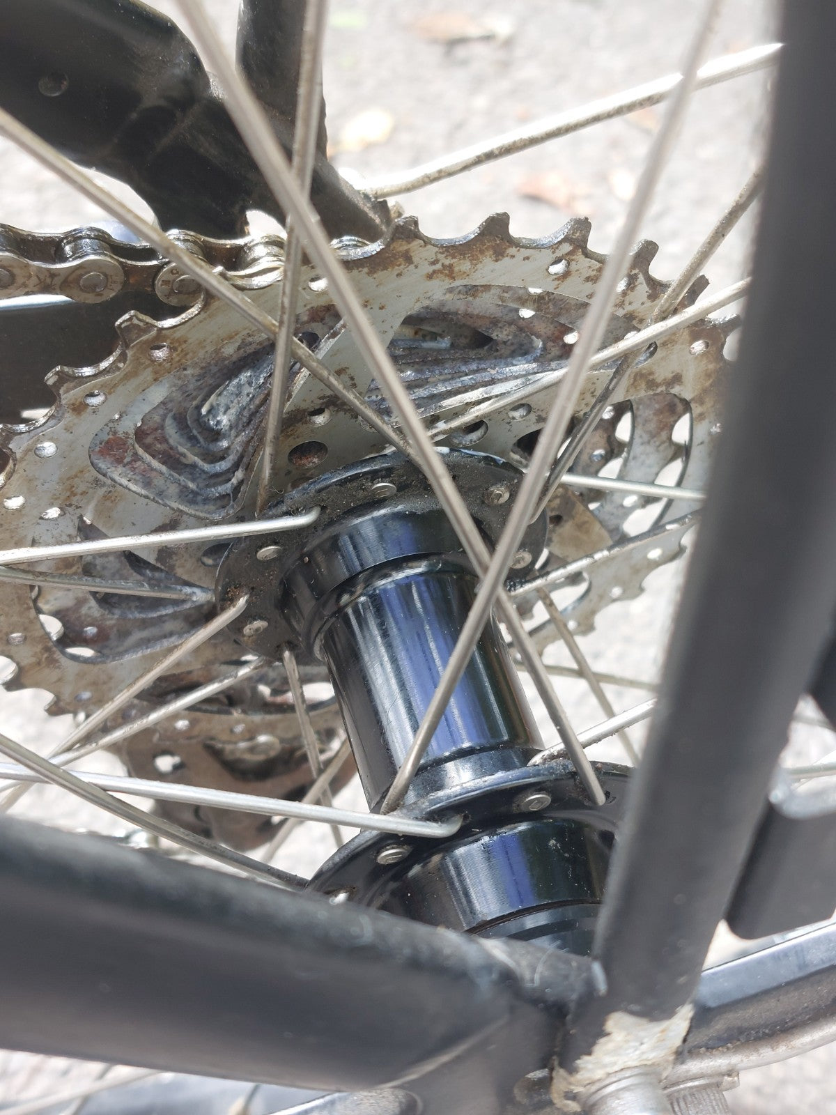 Tern Link D8 Folding Bike