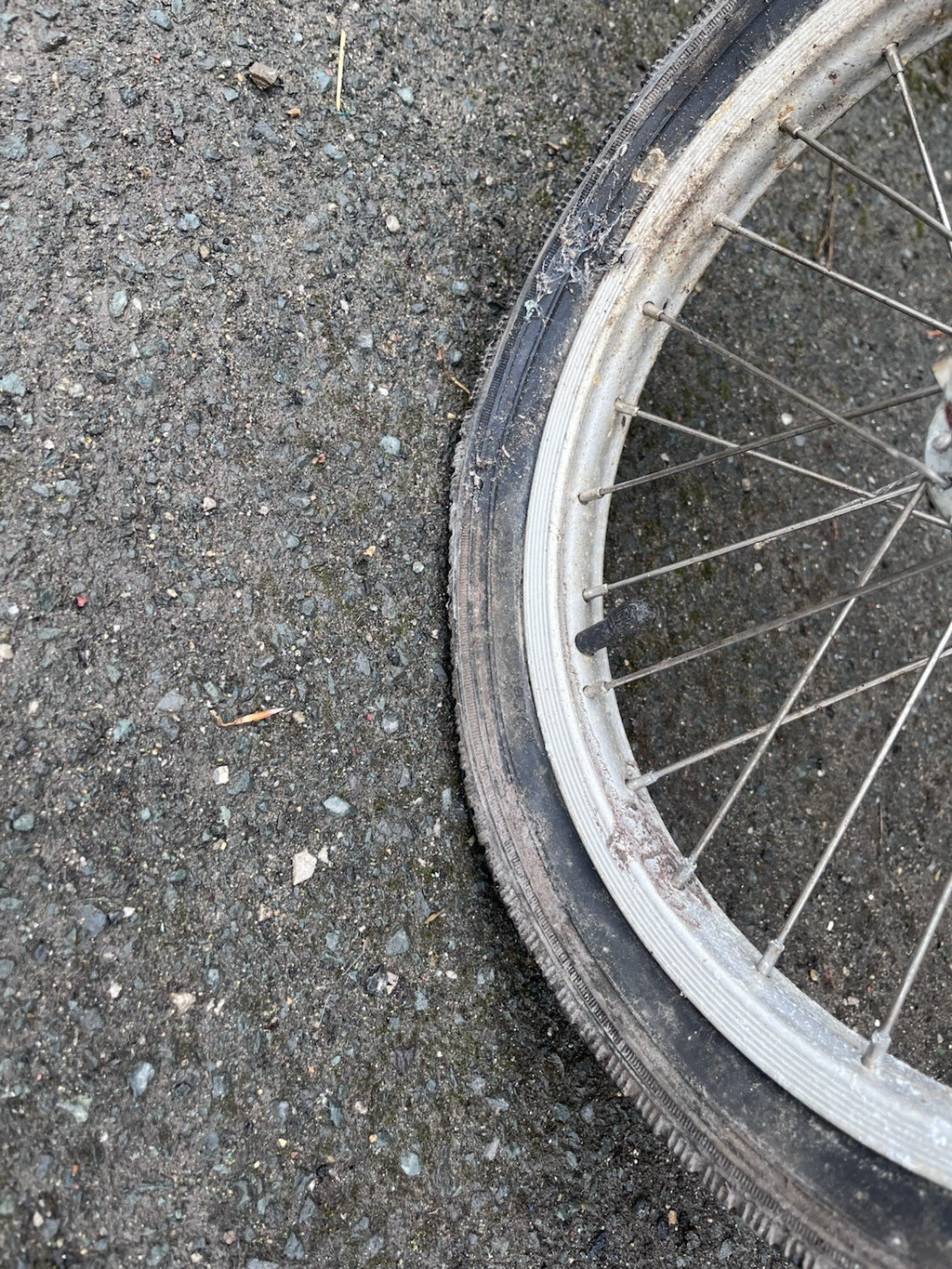 Di Blasi Folding Bike - Needing Tlc