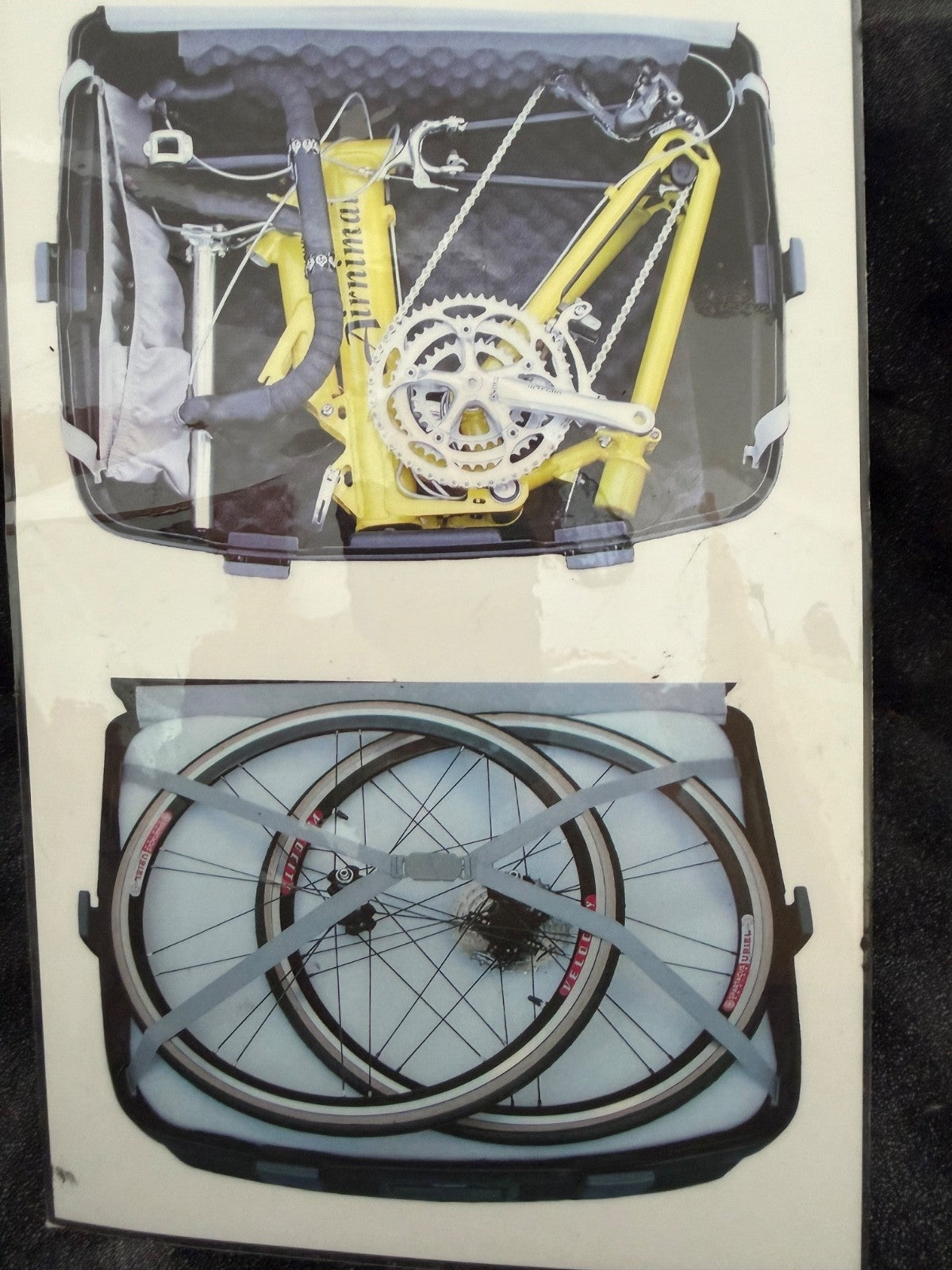 Airnimal Chameleon  Bike 24" Wheels. Good for travel - includes suitcase