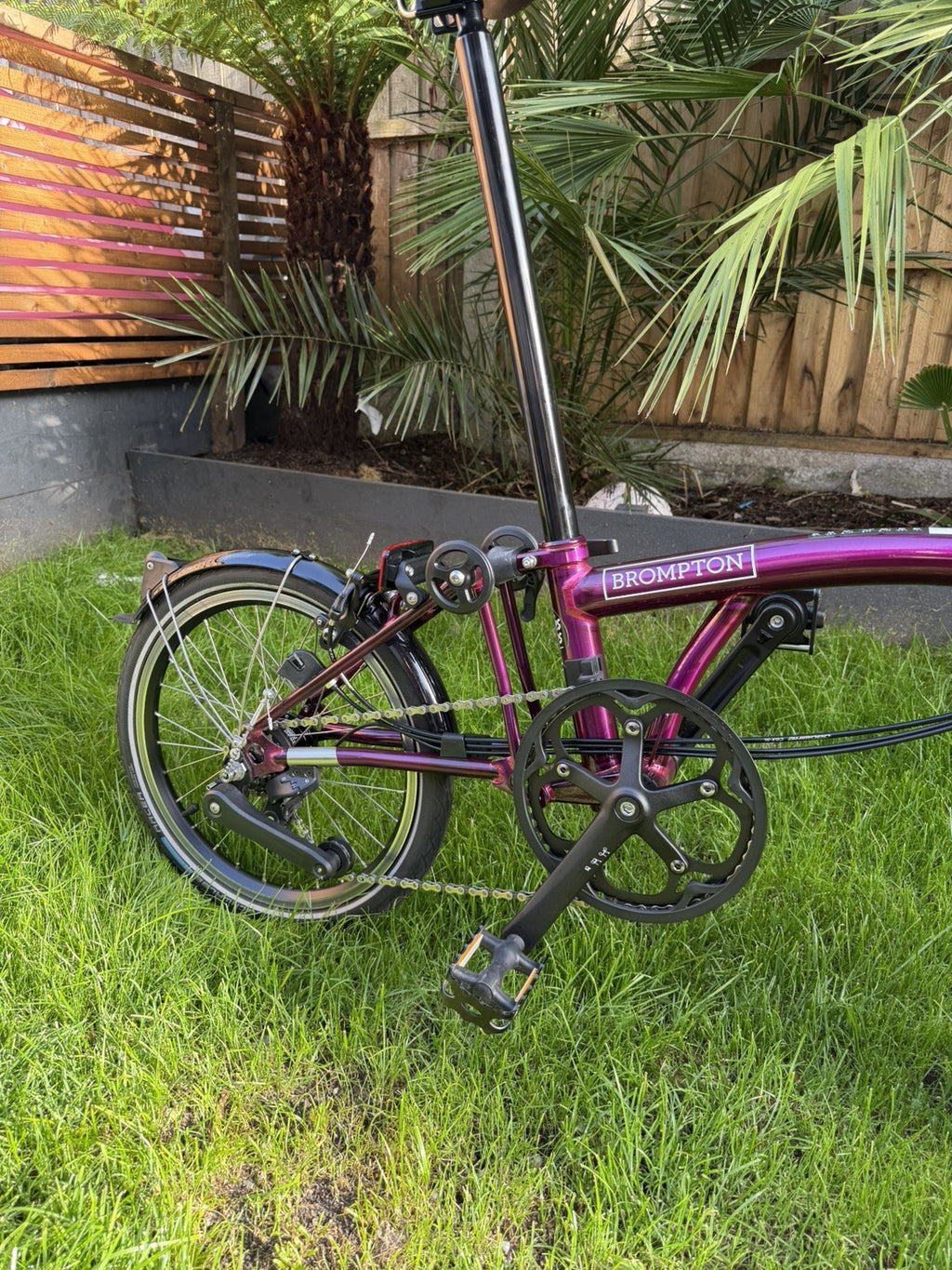 Brompton bike C-line 12-speed 2025 mid bar Amethyst Lacquer