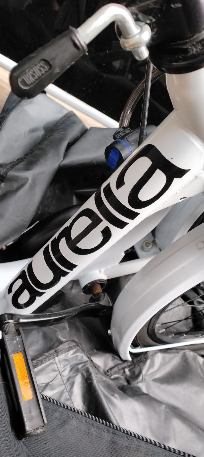 Folding Bike Aurelia, single speed