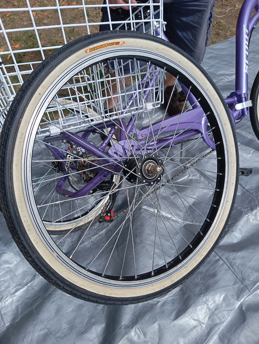 Scout Adult 24" Folding Tricycle
