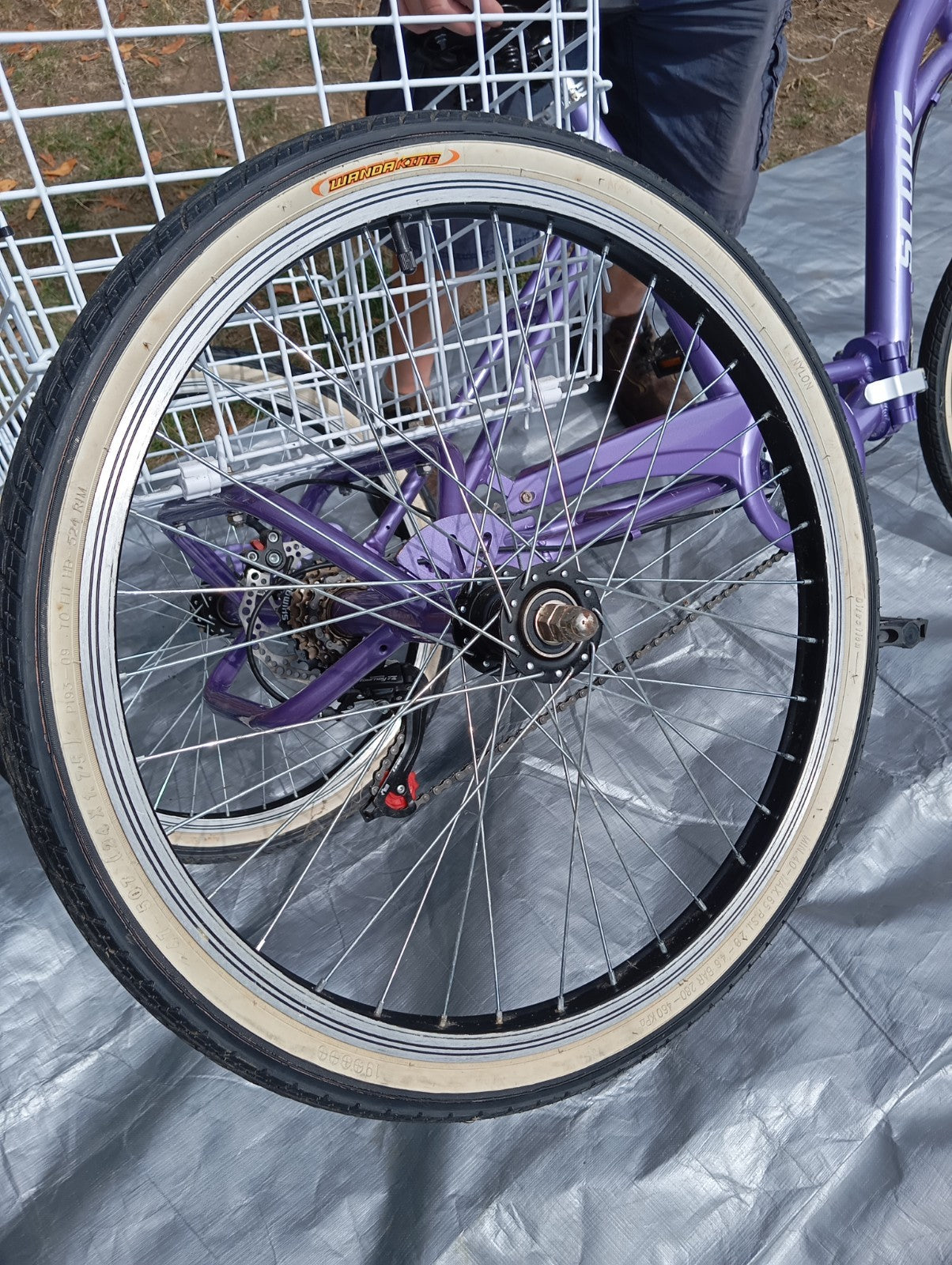 Scout Adult 24" Folding Tricycle