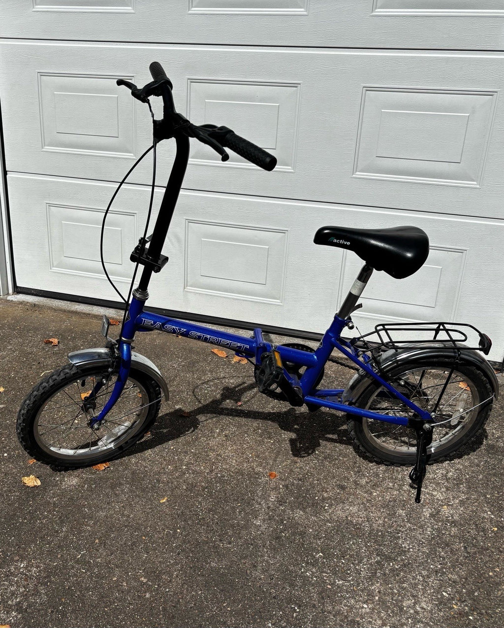 Folding Bike