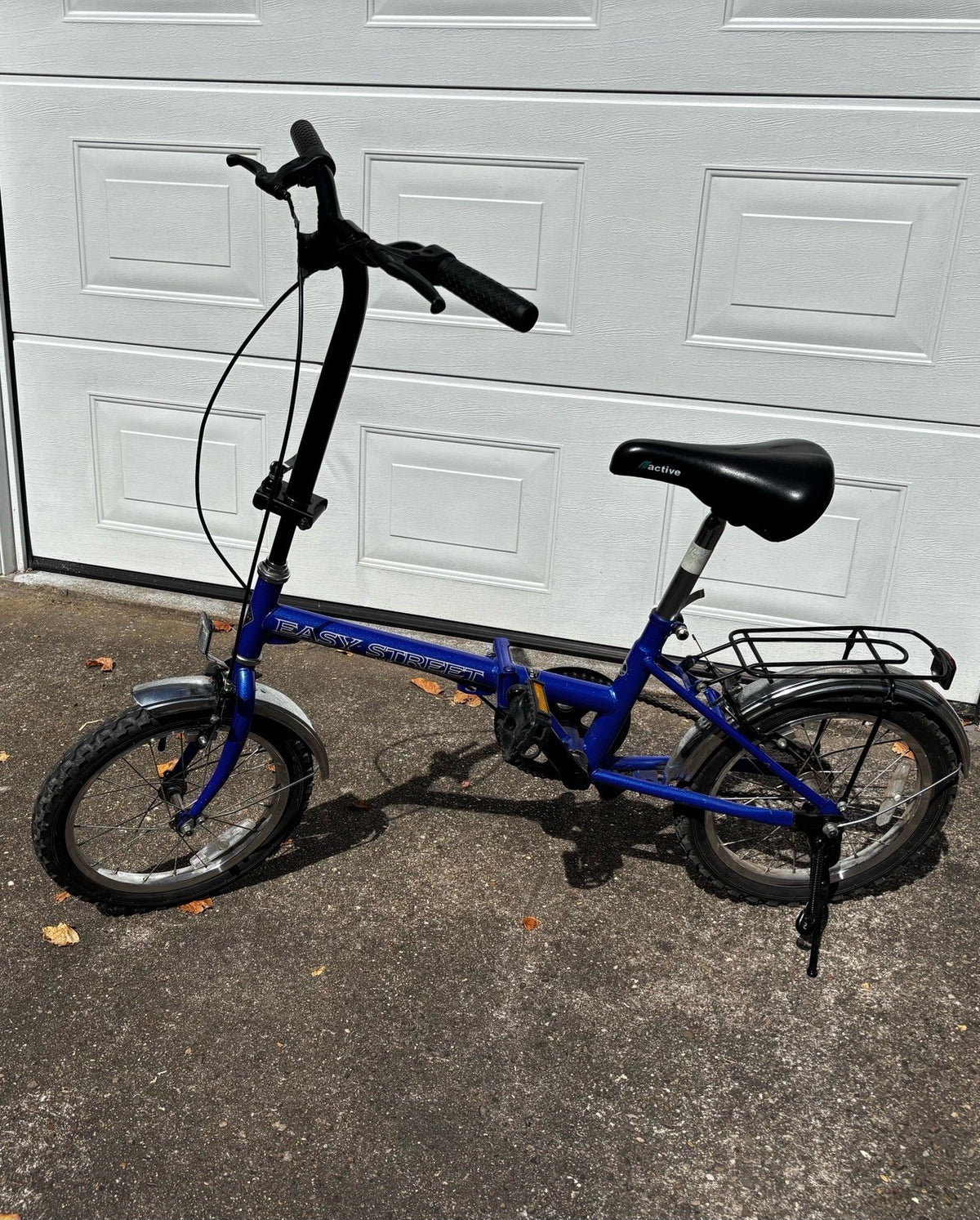 Folding Bike