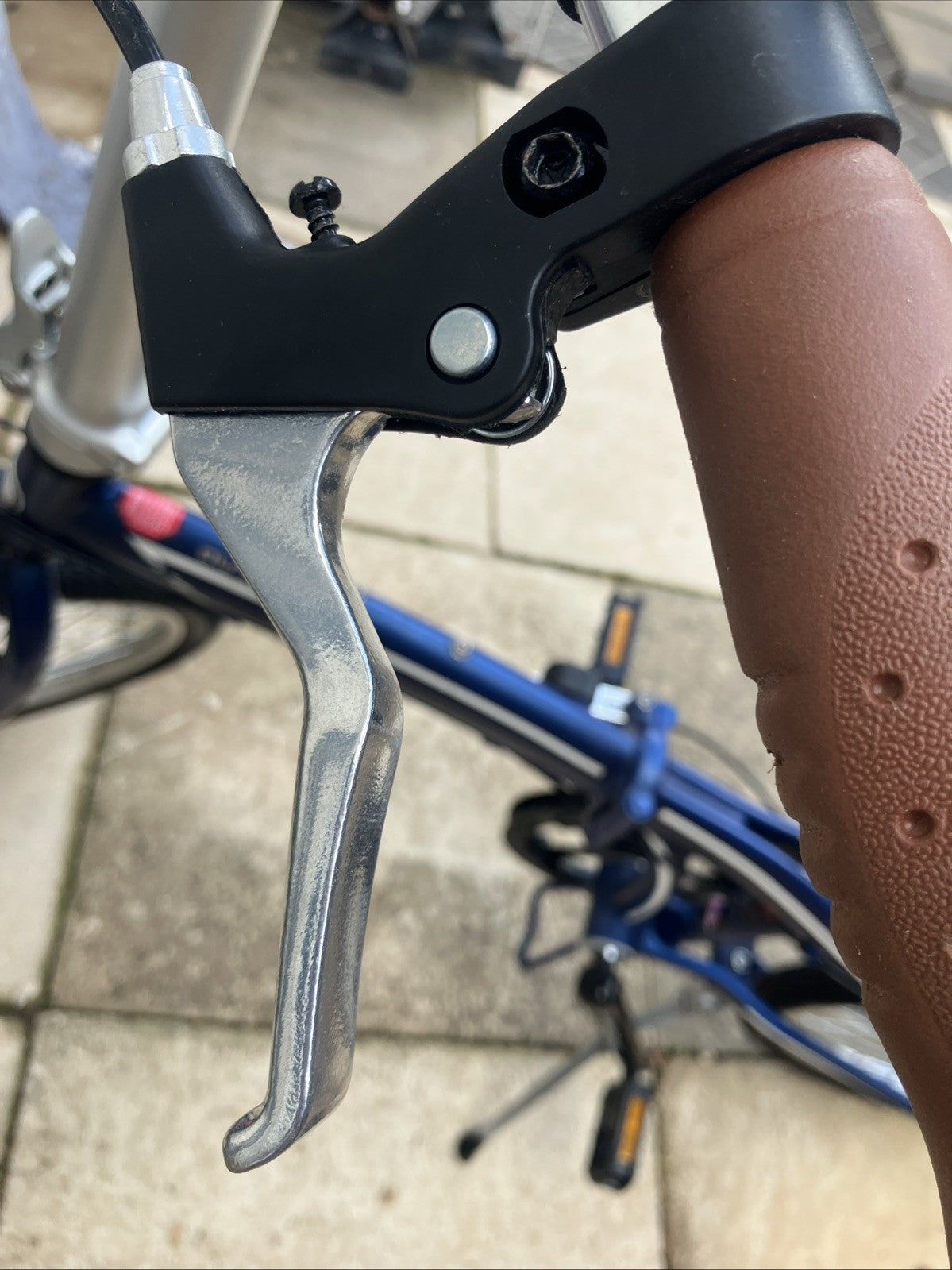 Python Folding Bike