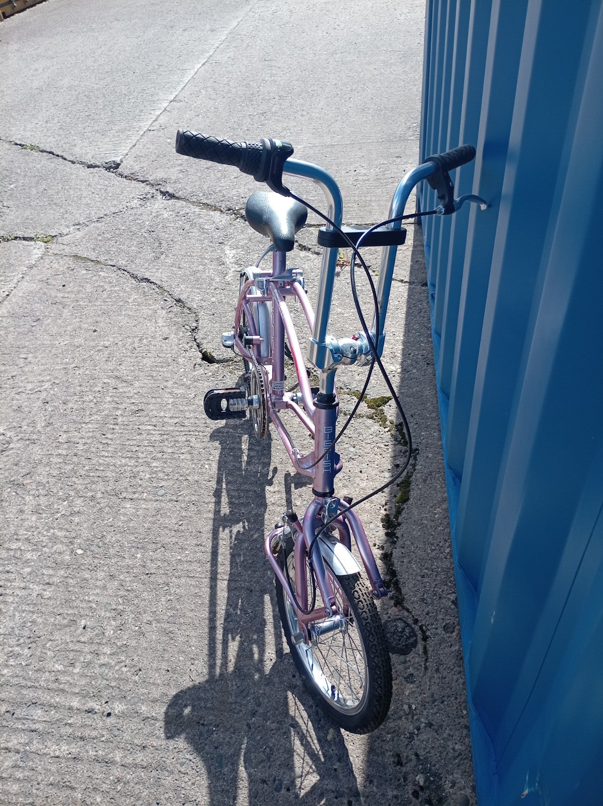 big fish carnielli folding bike