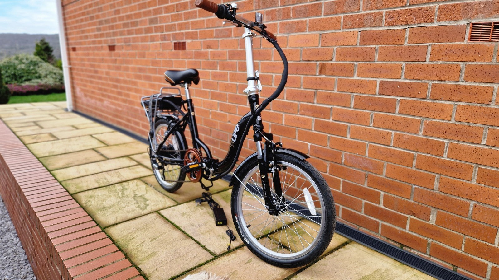 Elife Explorer 20 36v 250w Folding Bike 20inch Wheel