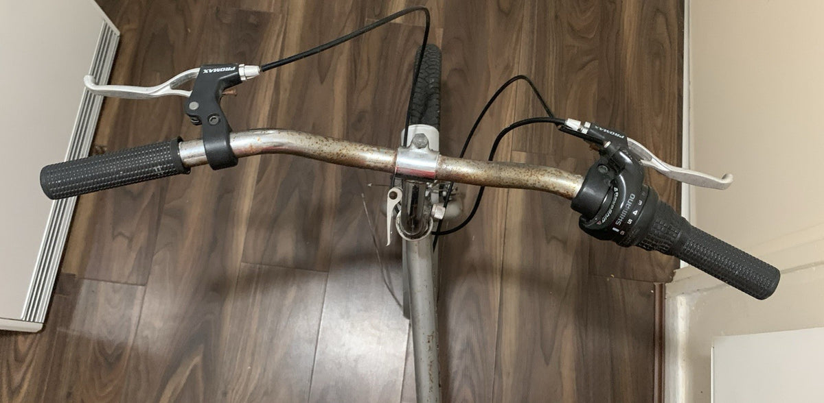 Raleigh  Bike 20in Silver/Black, Mudguards, Rear Rack, Grip Shifter