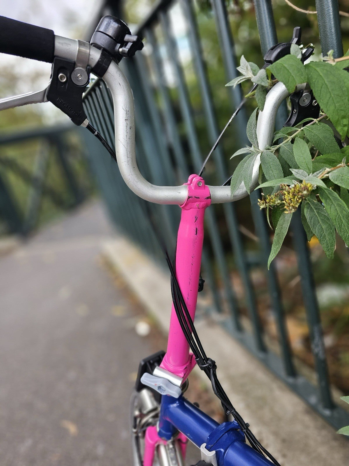 Brompton  c line 2012 Folding Bike 16 in M Frame Blue/Pink Mudguards lights