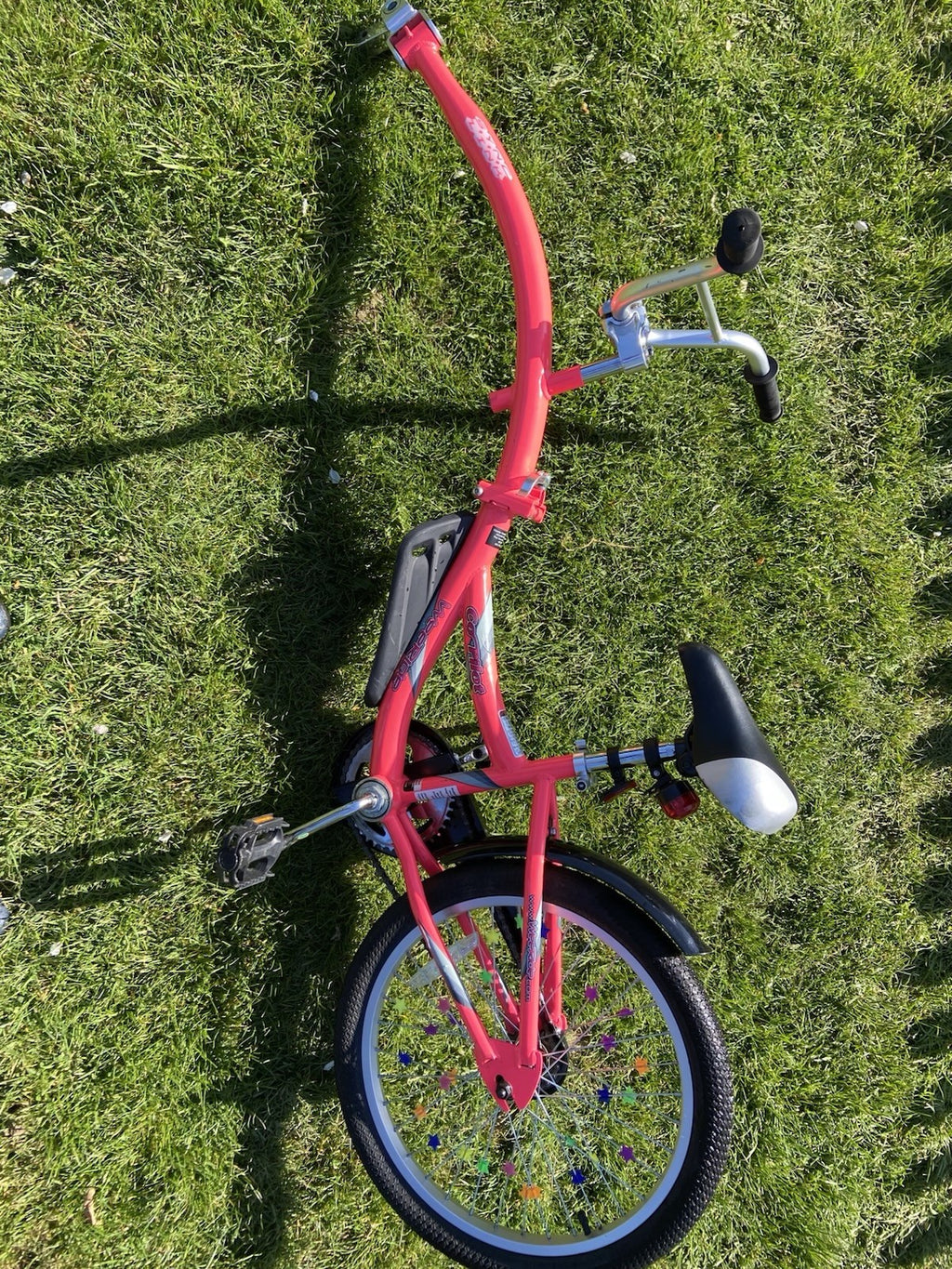 WeeRide Co Pilot Tagalong Bike