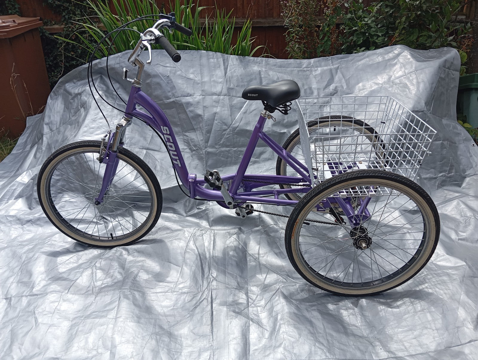 Scout Adult 24" Folding Tricycle