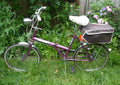 Classic Raleigh Stowaway Folding Bike - Collection Only from KT1