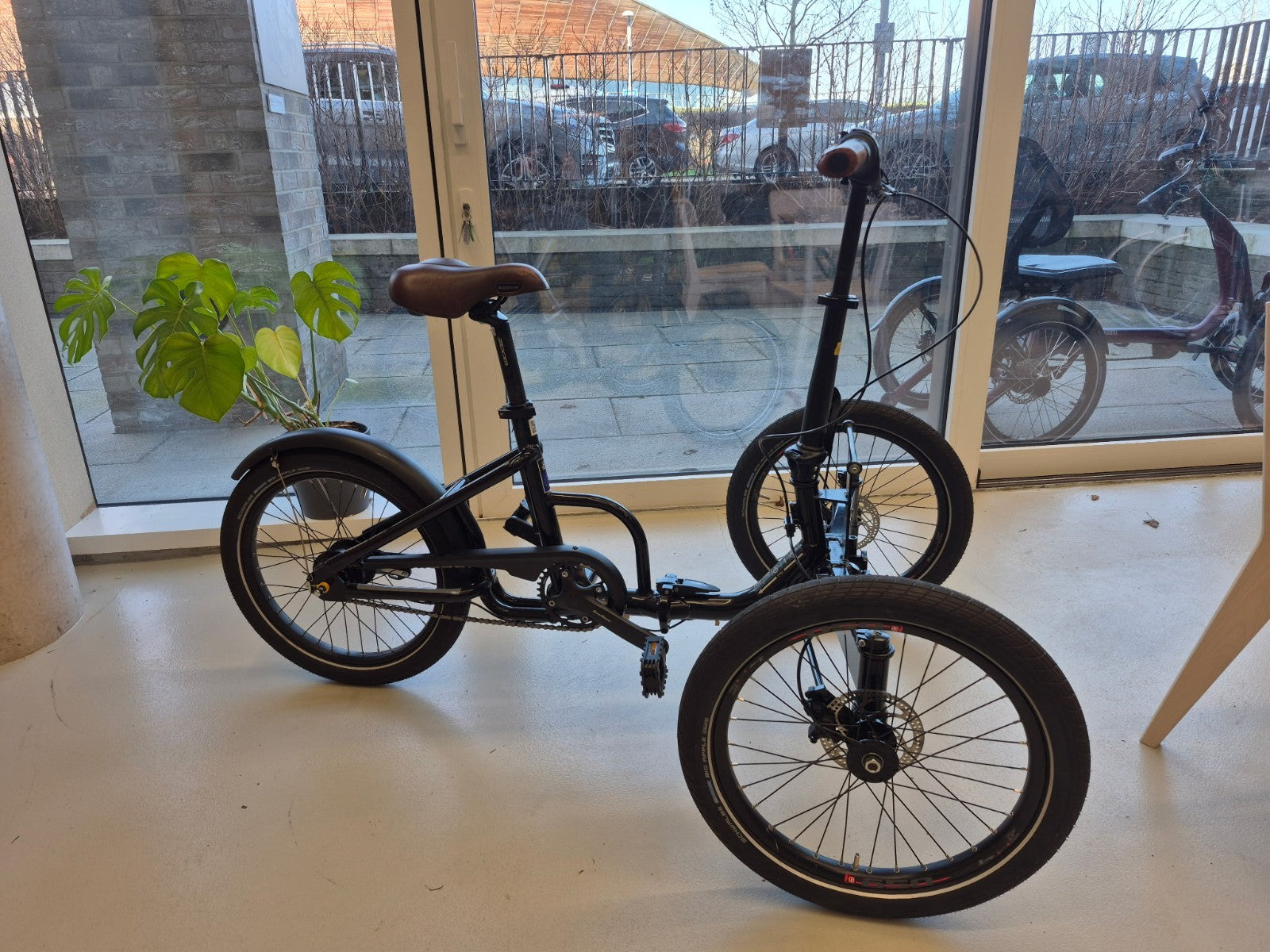 Etnnic Folding Adult Trike