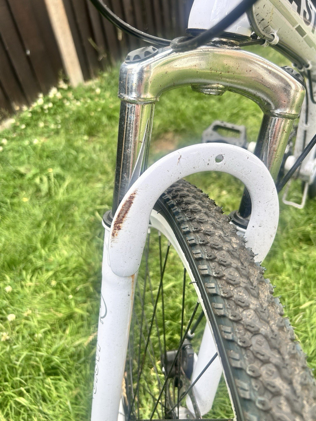 Adult Foldable Bike