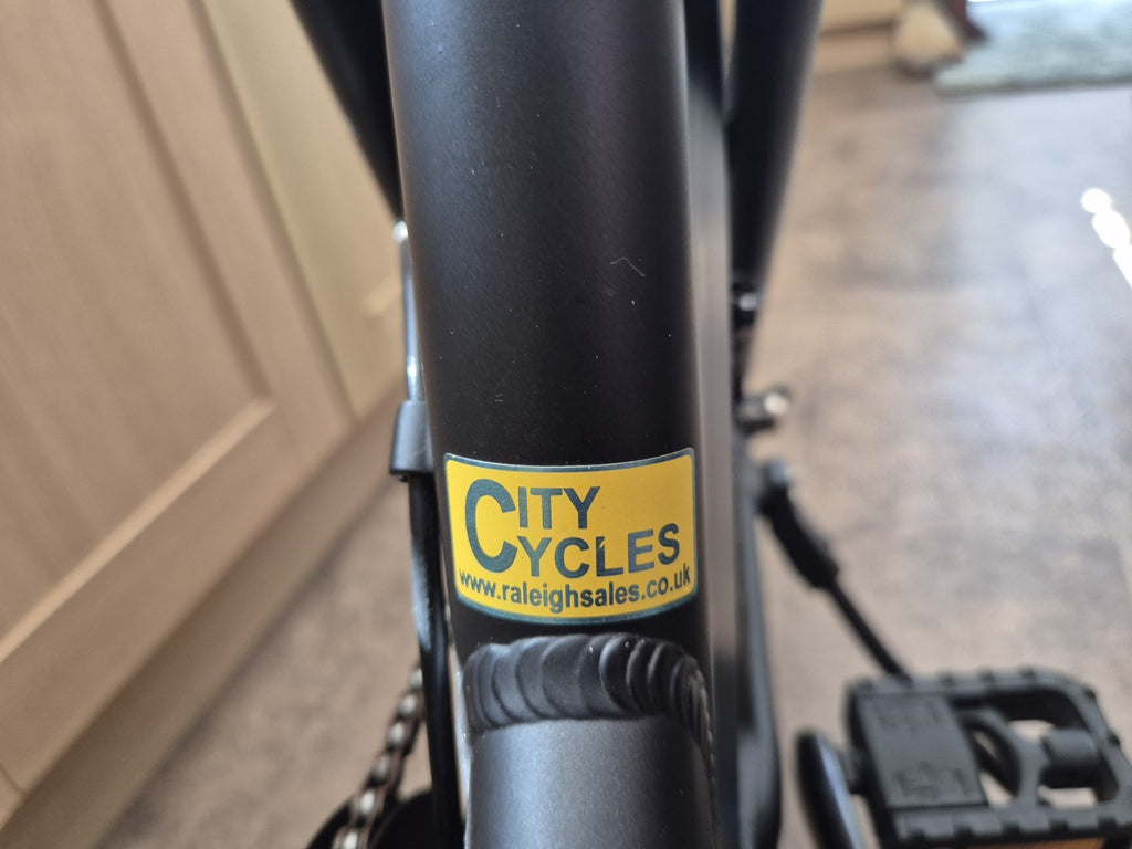 Raleigh Stow E Way Folding  Bike.