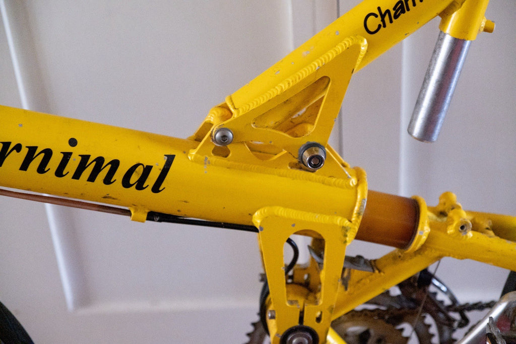 Airnimal Chameleon Folding Bike