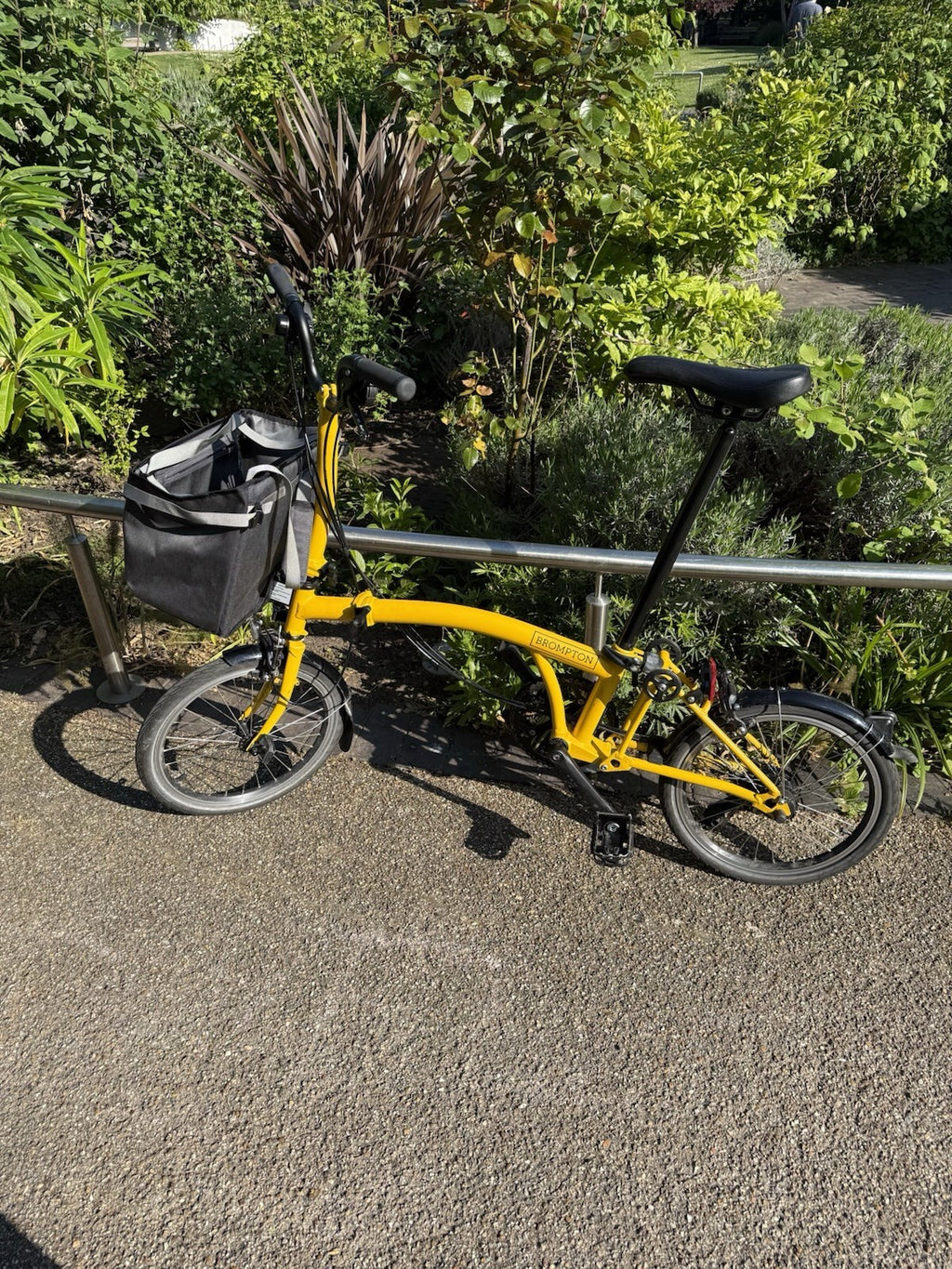 BROMPTON C LINE 12-SPEED FOLDING BIKE 2025 IN BUMBLEBEE YELLOW