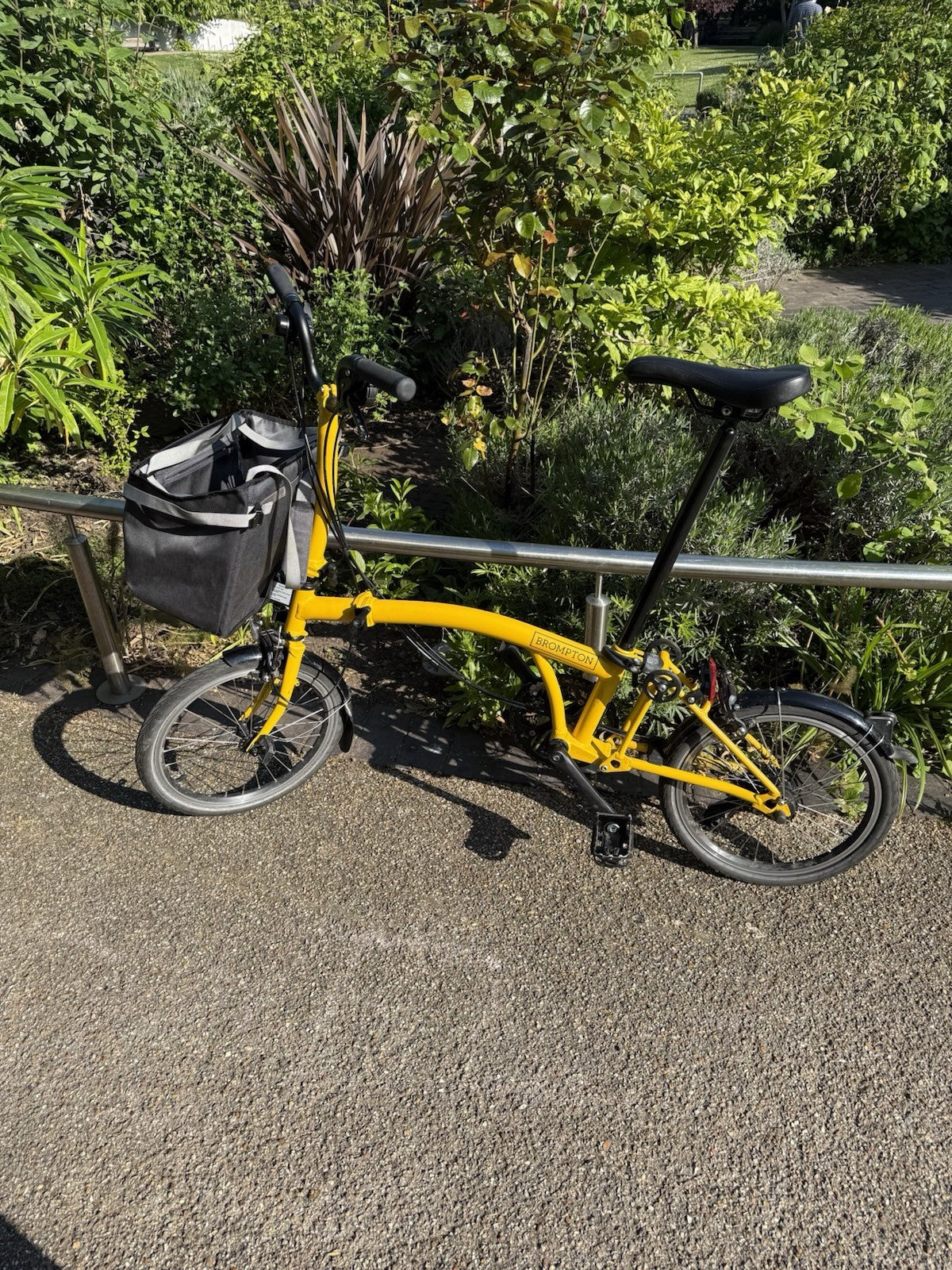 BROMPTON C LINE 12-SPEED FOLDING BIKE 2025 IN BUMBLEBEE YELLOW