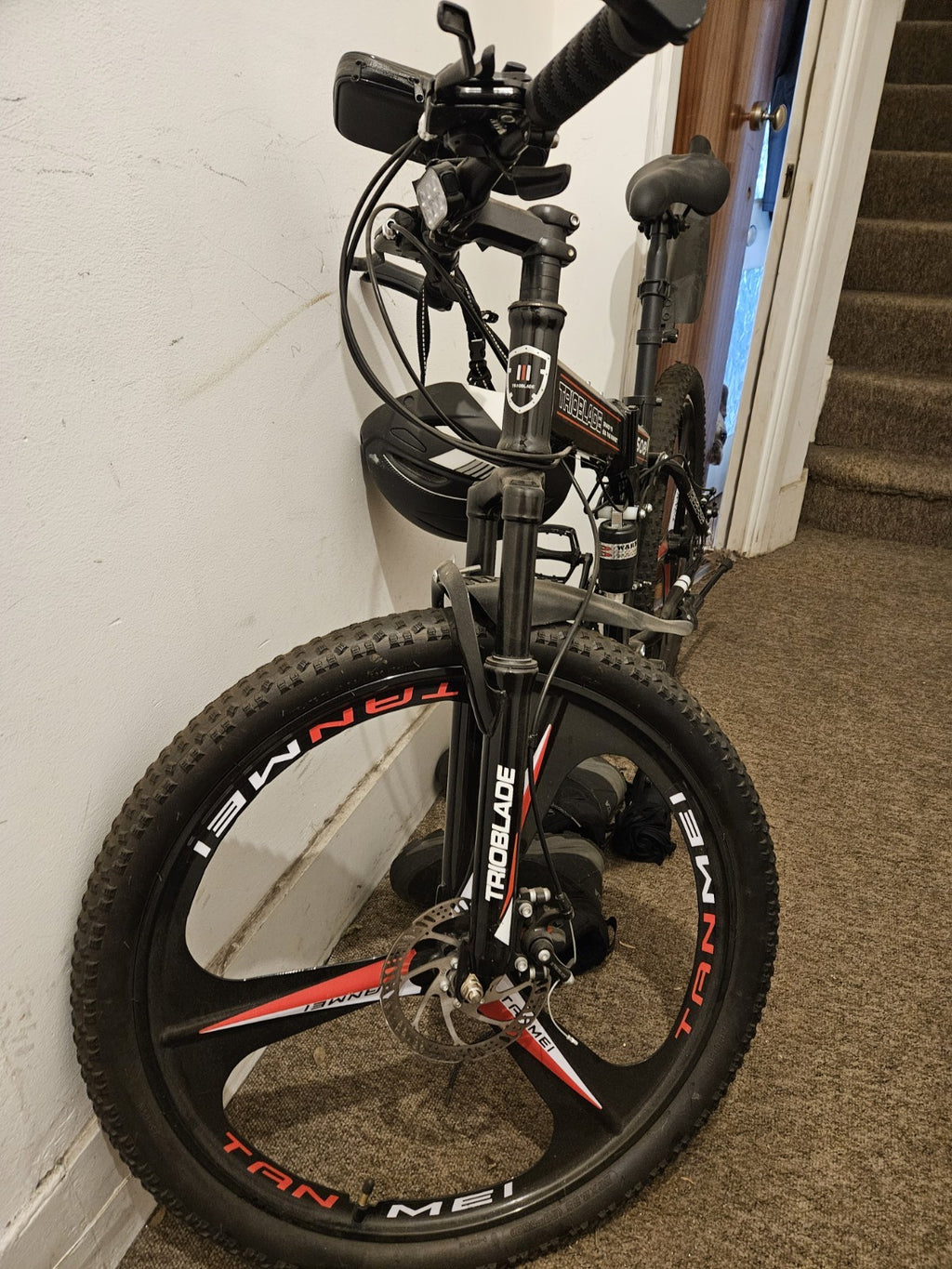 Tanmei Foldable Mountain Bike