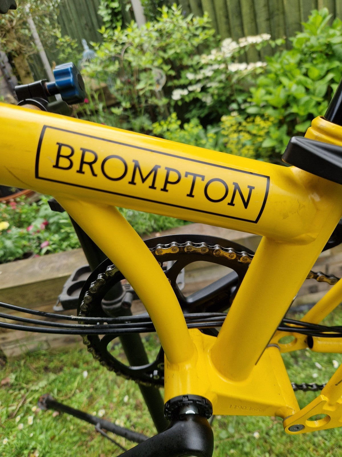 Brompton C Line 6 speed/Rack  Explore, Bumblebee Yellow/Black Mudguards LED
