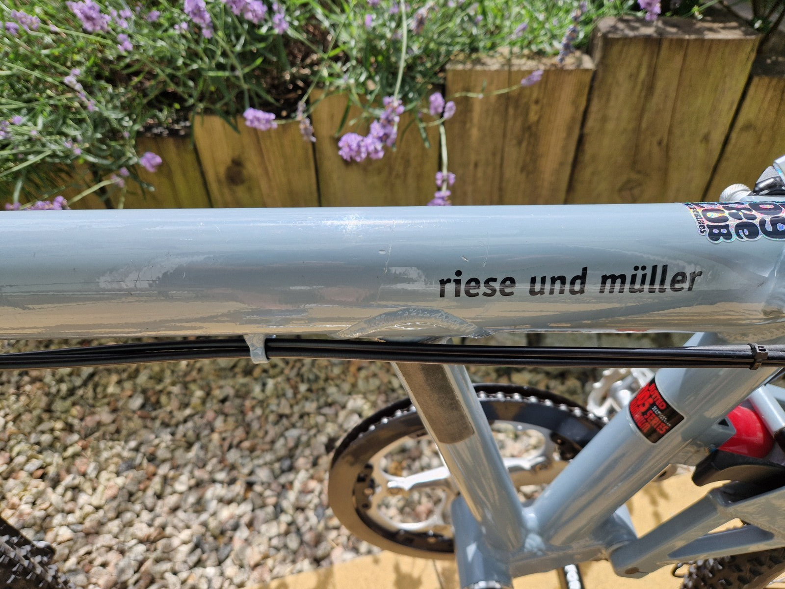 Riese and Müller Birdy Folding Bike Rohloff Classic